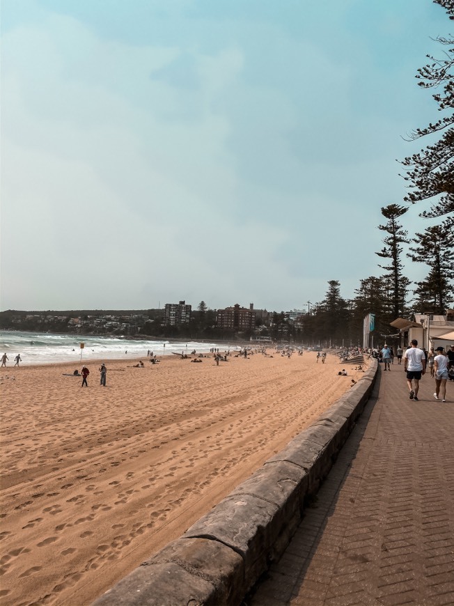 Manly Beach