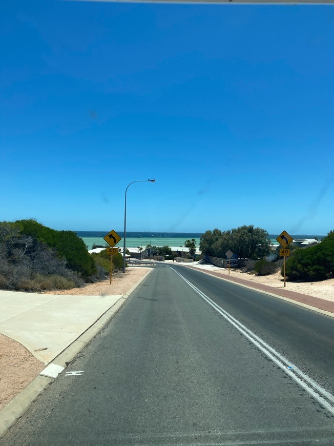 Lugares Shark Bay