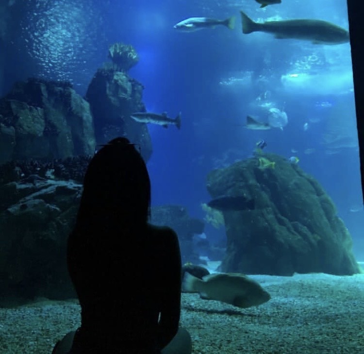 Lugar Oceanario de Lisboa