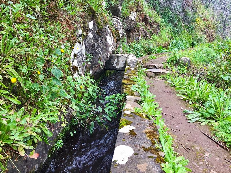 Lugar Camacha - Levada do Caniço