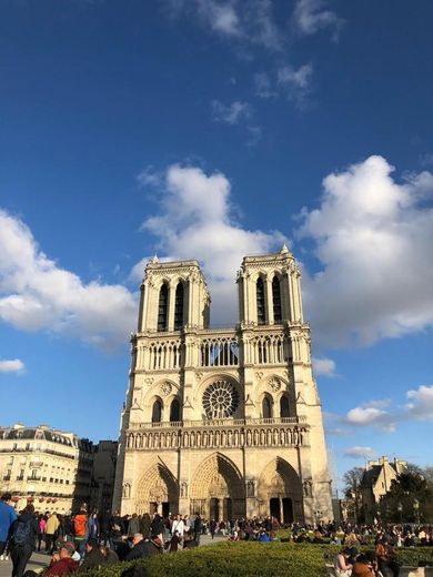 Catedral de Notre Dame