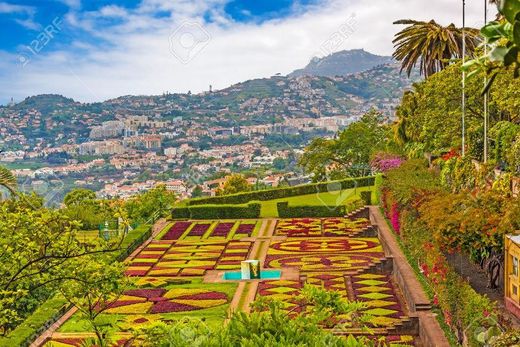 Jardín Botánico de Madeira