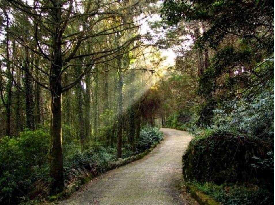 Lugar Sintra Mountains