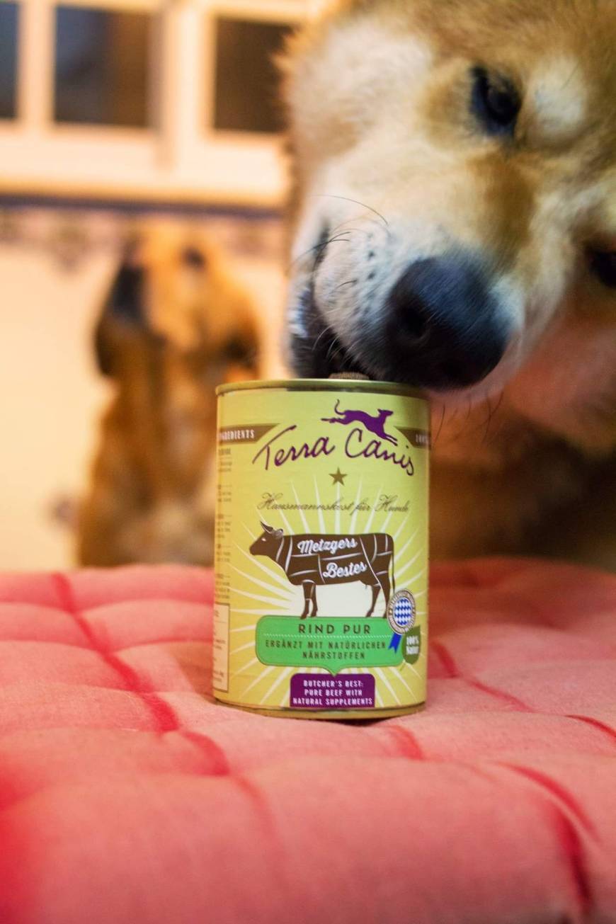 Productos Terra Canis – Beef Pure