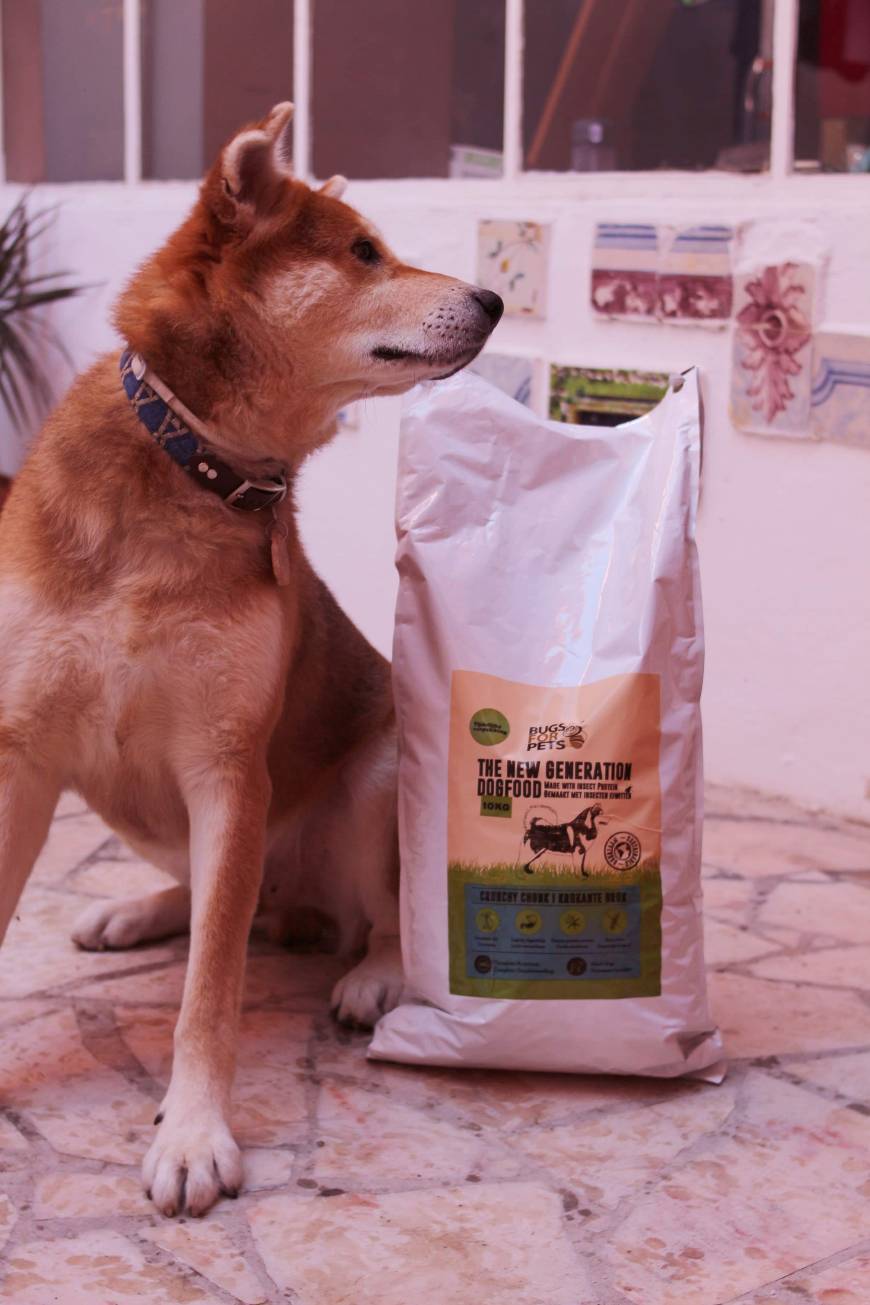 Producto Bugsforpets Crunchy