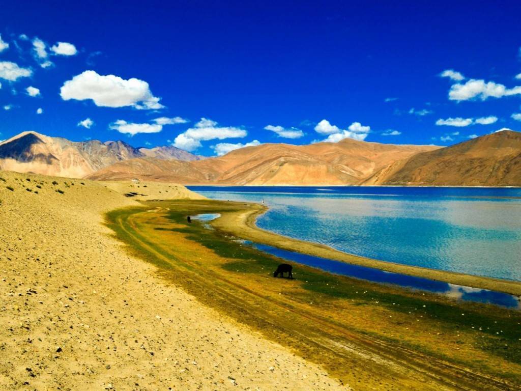 Place Pangong Tso Lake, Himalayas