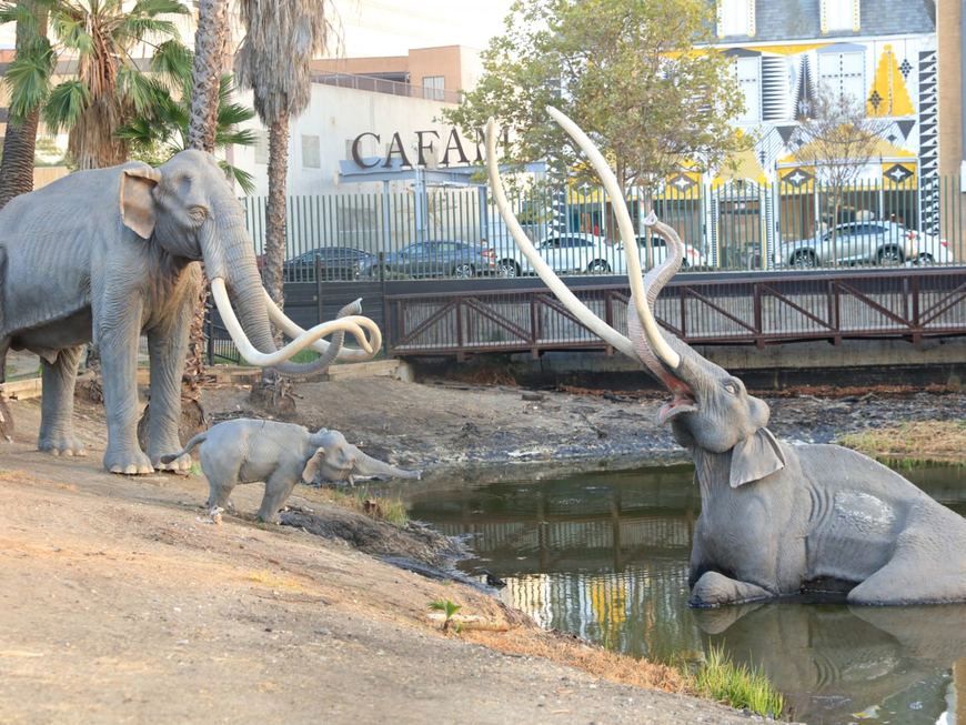 Lugar La Brea Tar Pits