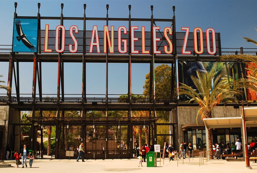 Lugar Zoológico de Los Ángeles