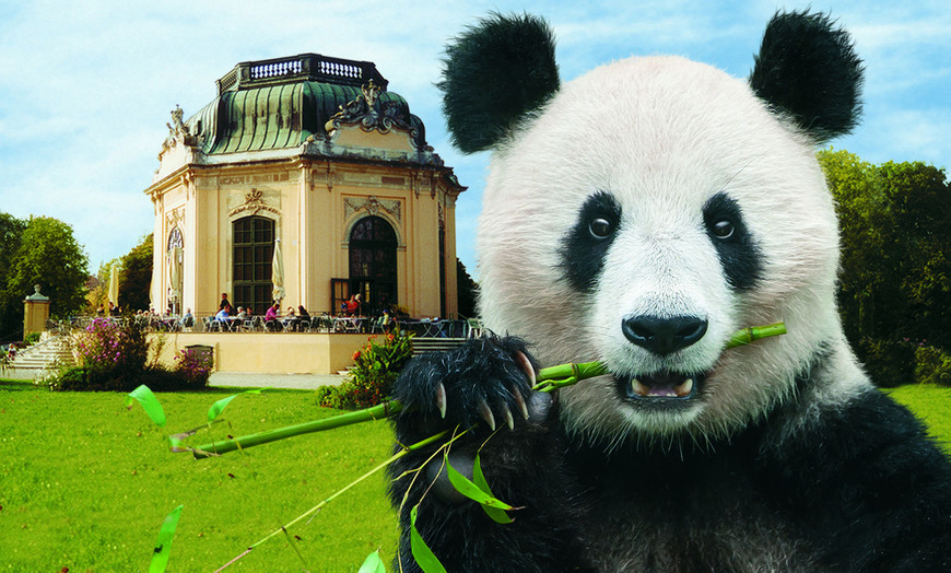 Lugar Schönbrunn Zoo