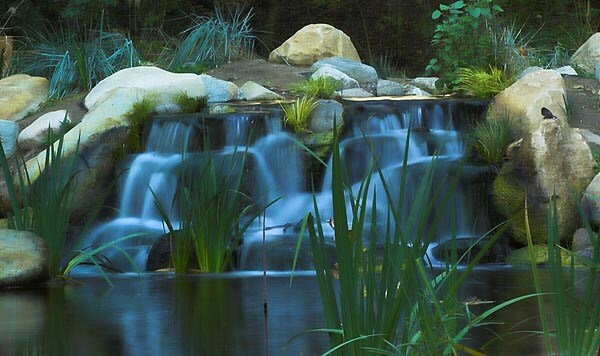 Lugar Descanso Gardens