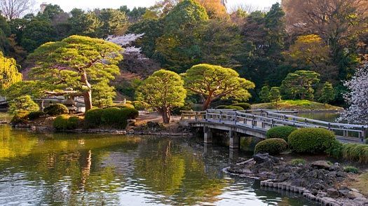 Place Shinjuku Gyoen National Garden