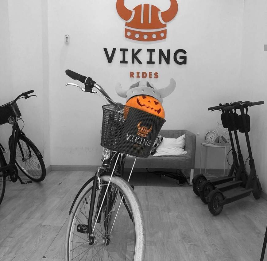 Places Viking Rides