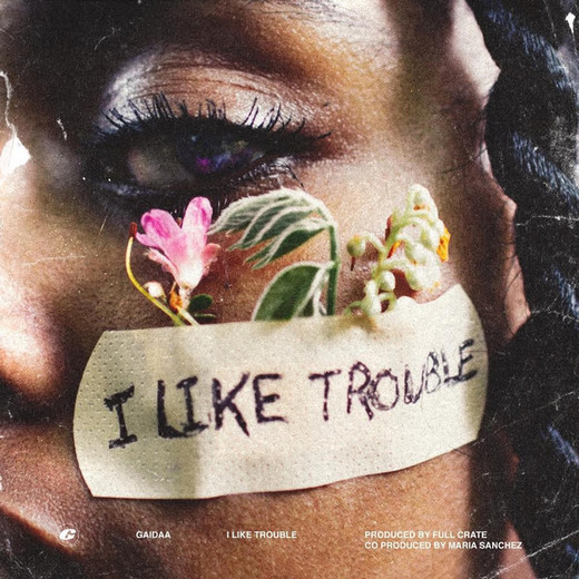 I Like Trouble