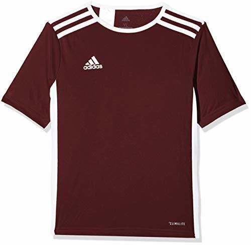 adidas Entrada 18 JSY Jersey de Fútbol de Manga Corta, Hombre, Marrón