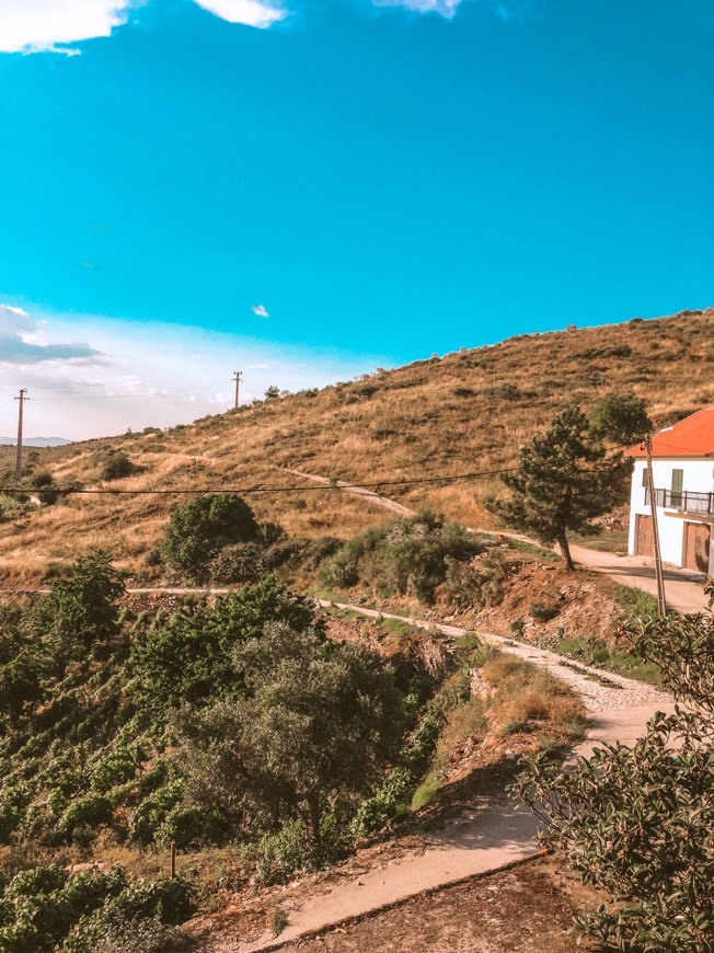 Lugar Ervedosa do Douro