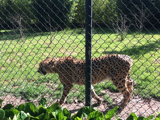 ZOO Santo Inácio