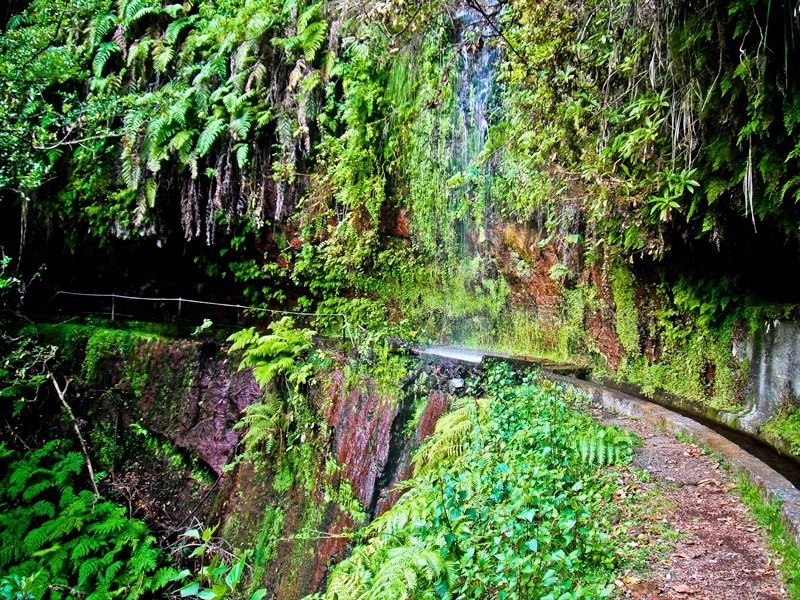 Lugar PR18 Levada Do Rei