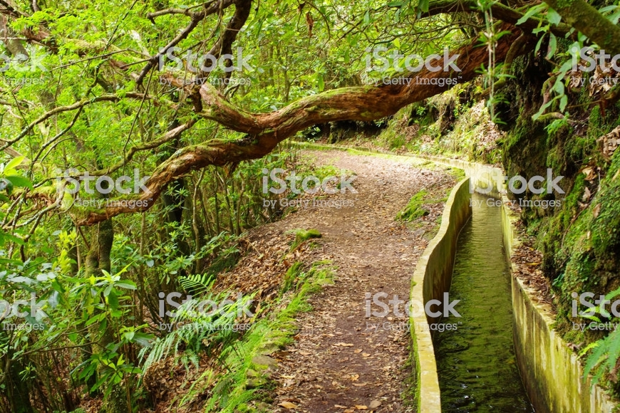 Lugar Levada do Norte