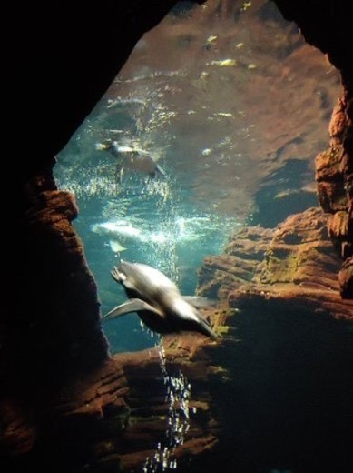 Oceanário LISBOA