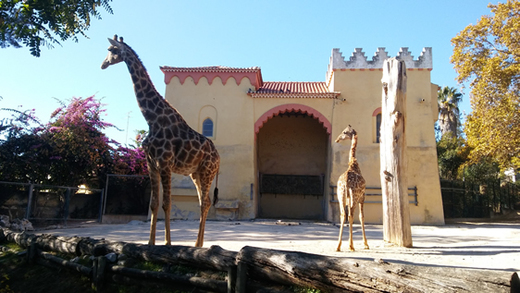 Jardim Zoológico de Lisboa