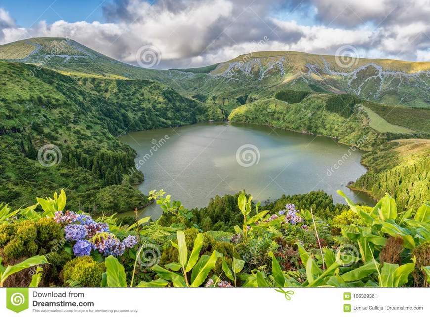 Place Ilha das Flores