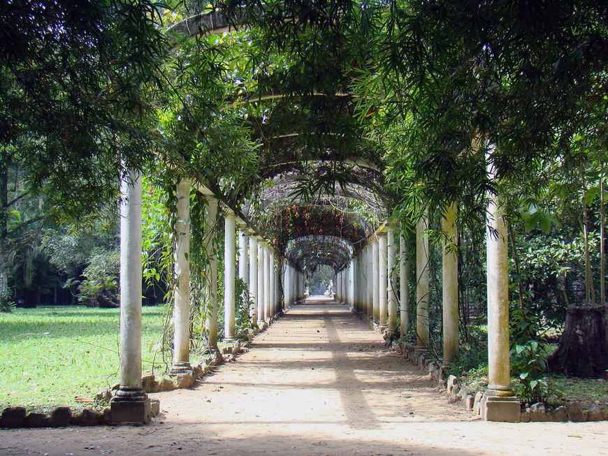 Lugar Jardim Botânico