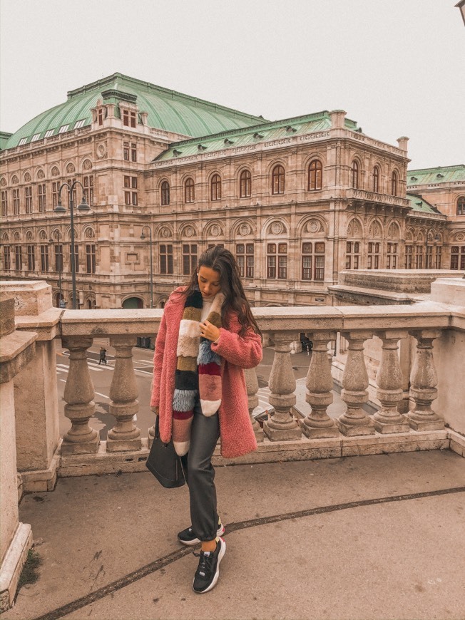 Restaurants Opera De Viena