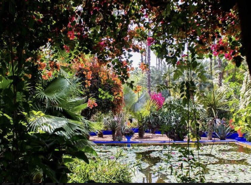 Lugar Jardín Majorelle