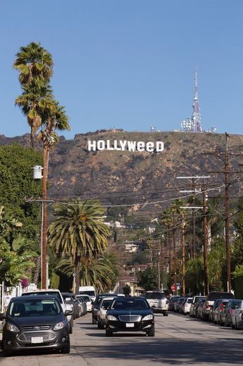 Hollywood