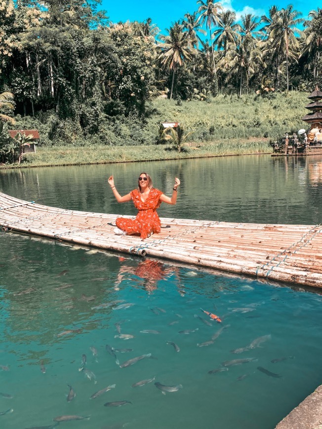 Lugar Pura Tirta Taman Mumbul