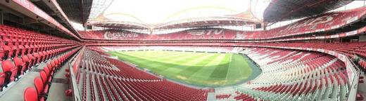 Estádio Sport Lisboa e Benfica