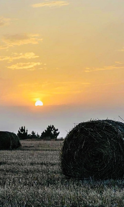 Lugar Alentejo