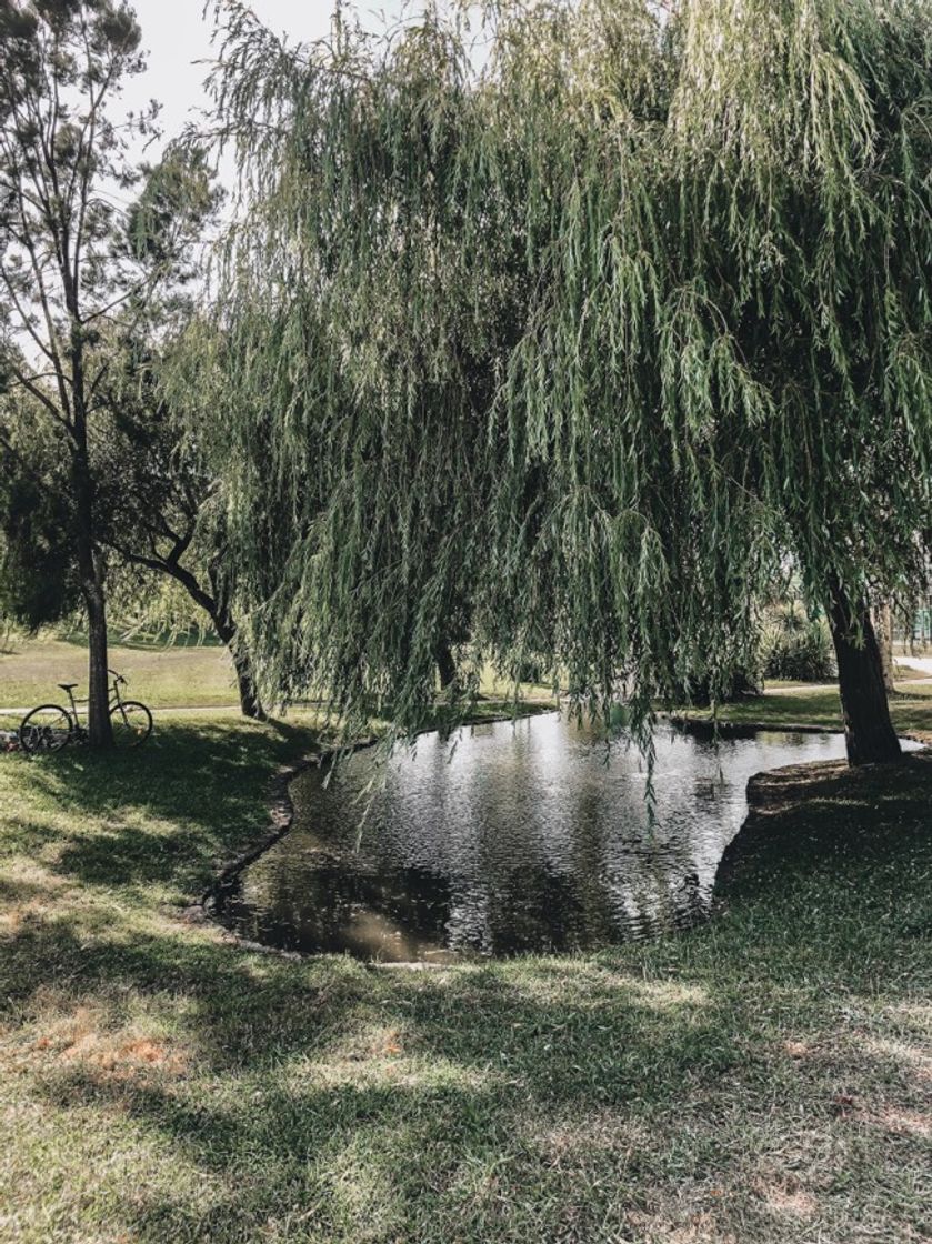 Places Parque de Santo António