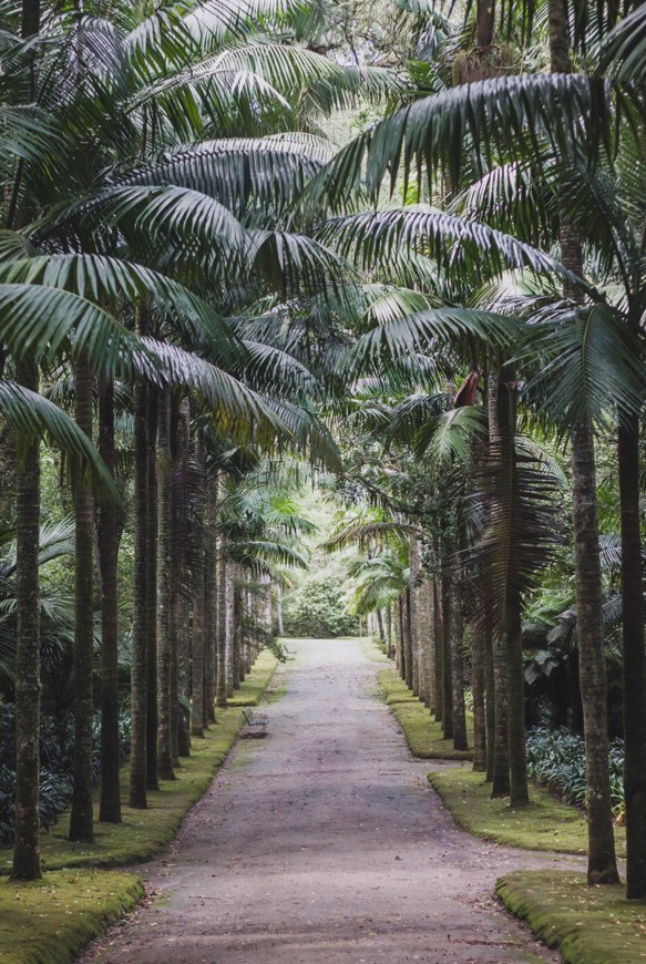 Lugar Terra-Nostra-Park