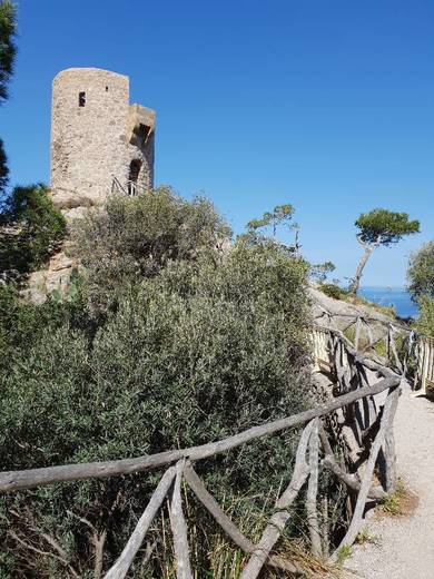 Torre del Verger