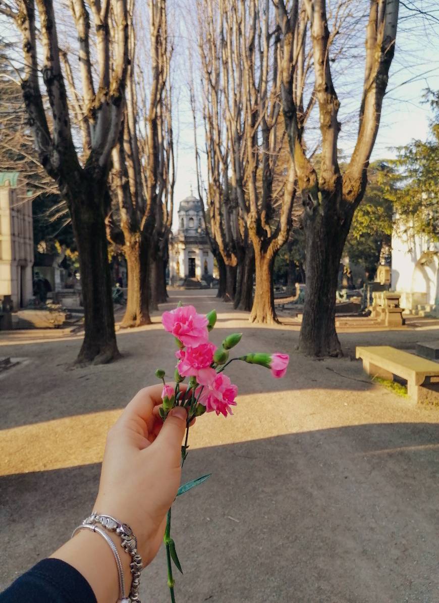 Place Cimitero Monumentale