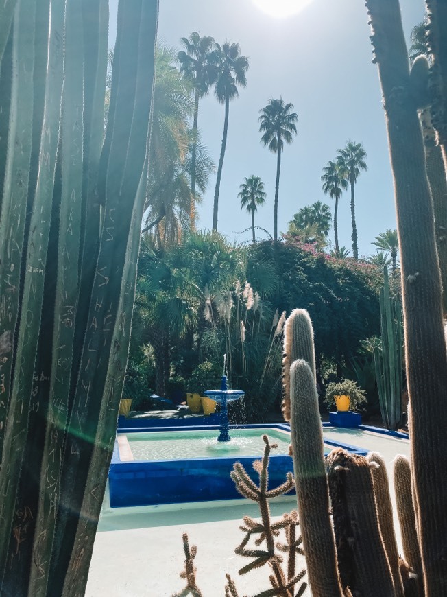 Fashion Jardin Majorelle