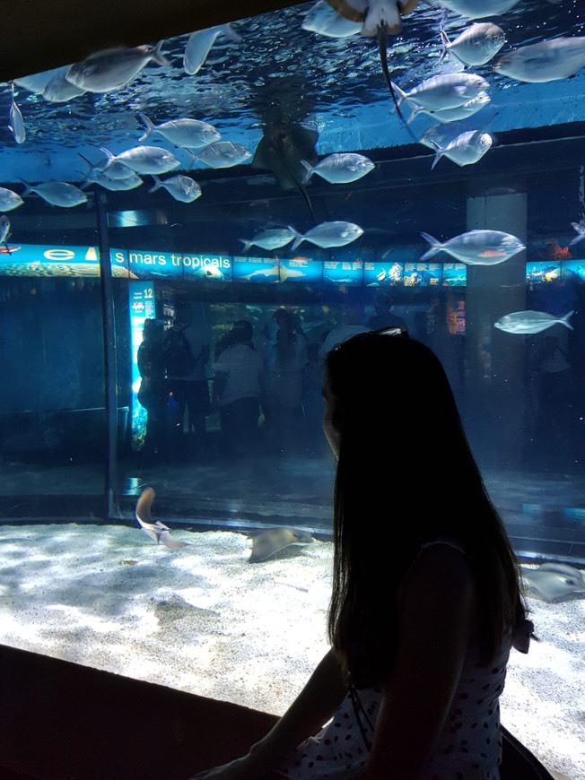 Lugar Aquarium de Barcelona Barcelona