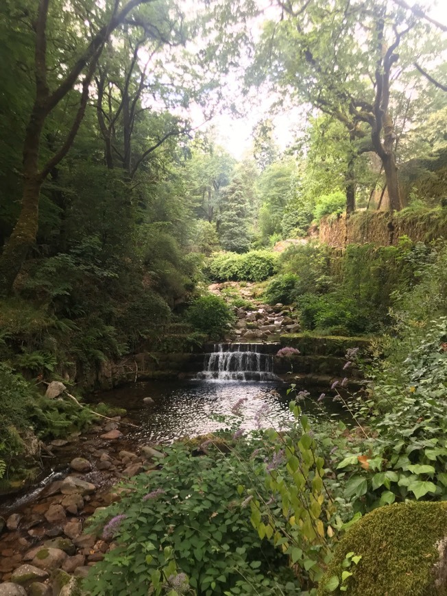 Lugar Gerês