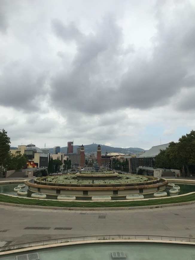 Restaurants Plaza de España