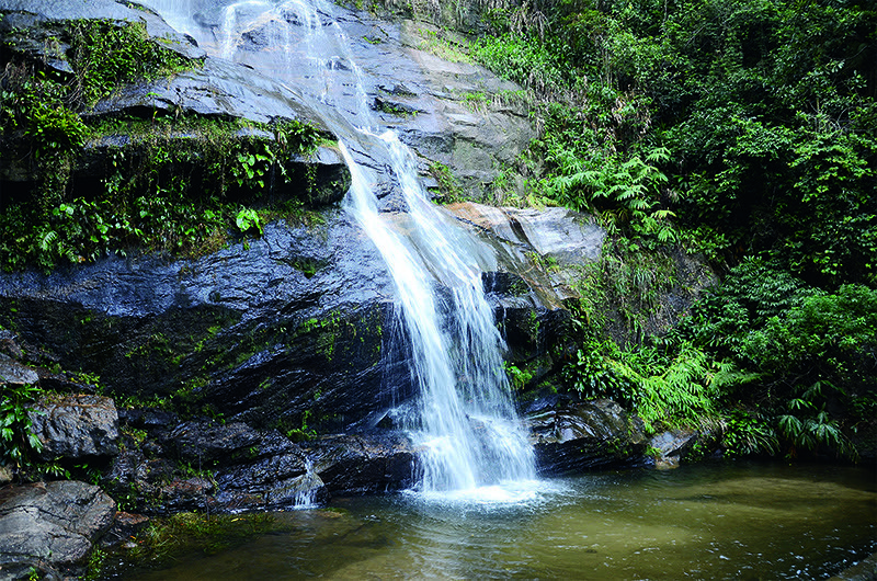 Place Floresta da Tijuca