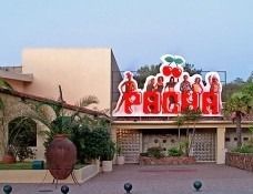 Pacha Ofir