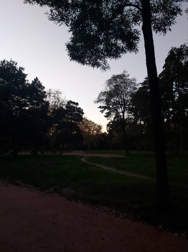 Place Caldas da Rainha — Nossa Senhora do Pópulo
