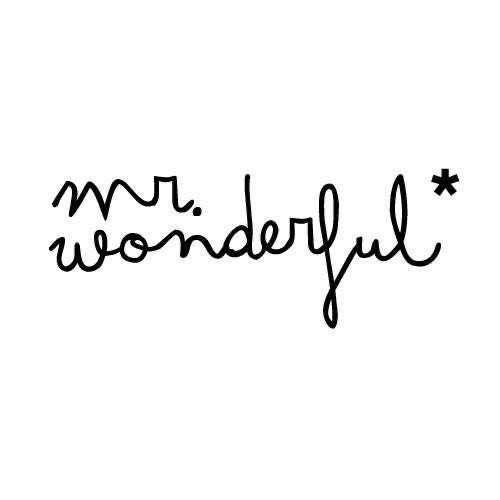 Fashion Mr. Wonderful 