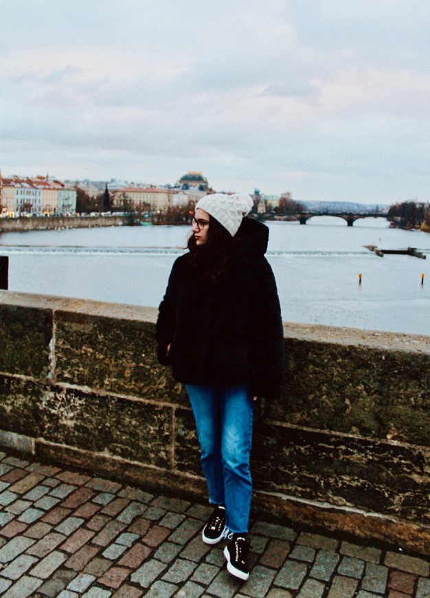 Place Charles Bridge