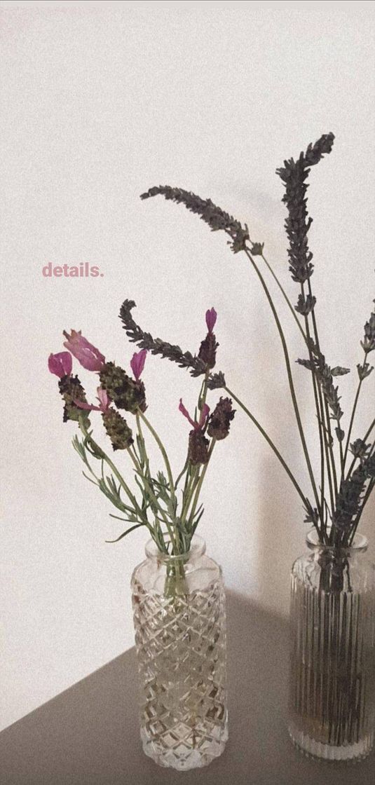 Social Flowers stories