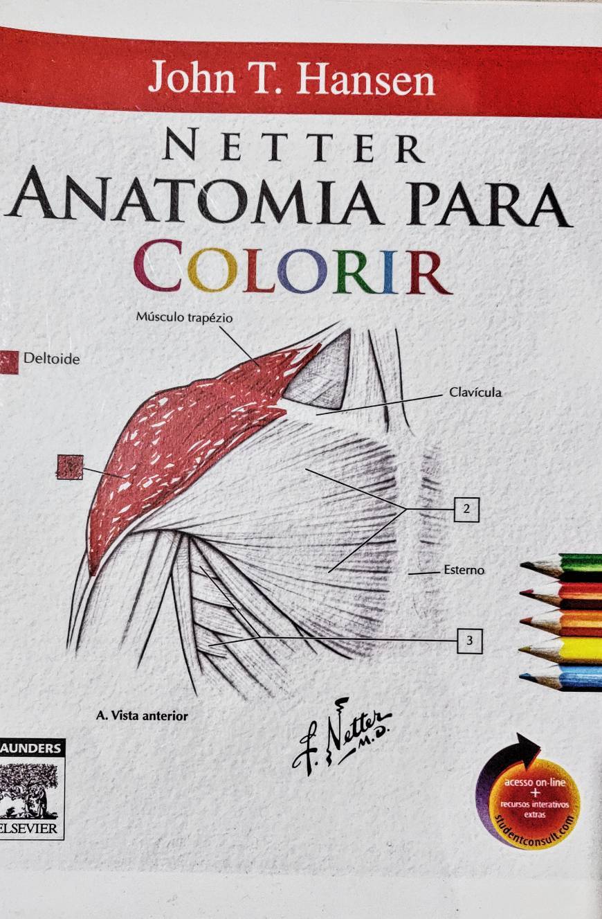 Moda Livro Anatomia para colorir - Netter