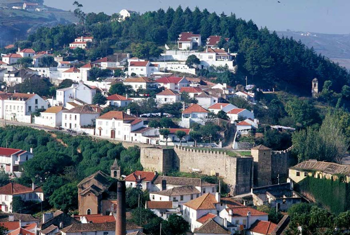 Place Caldas da Rainha