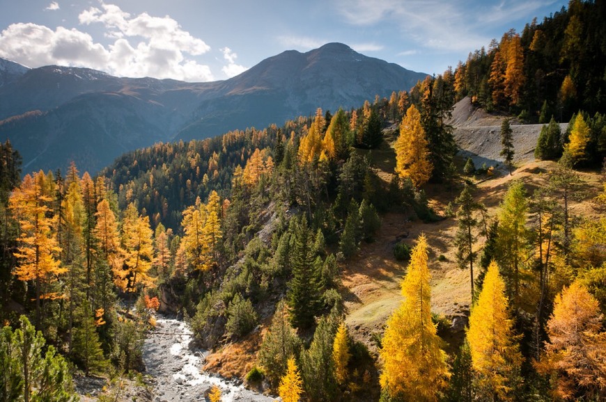 Lugares Swiss National Park