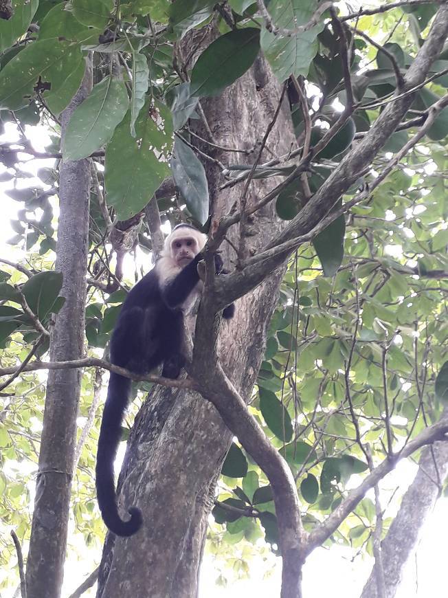 Lugar Manuel Antonio National Park